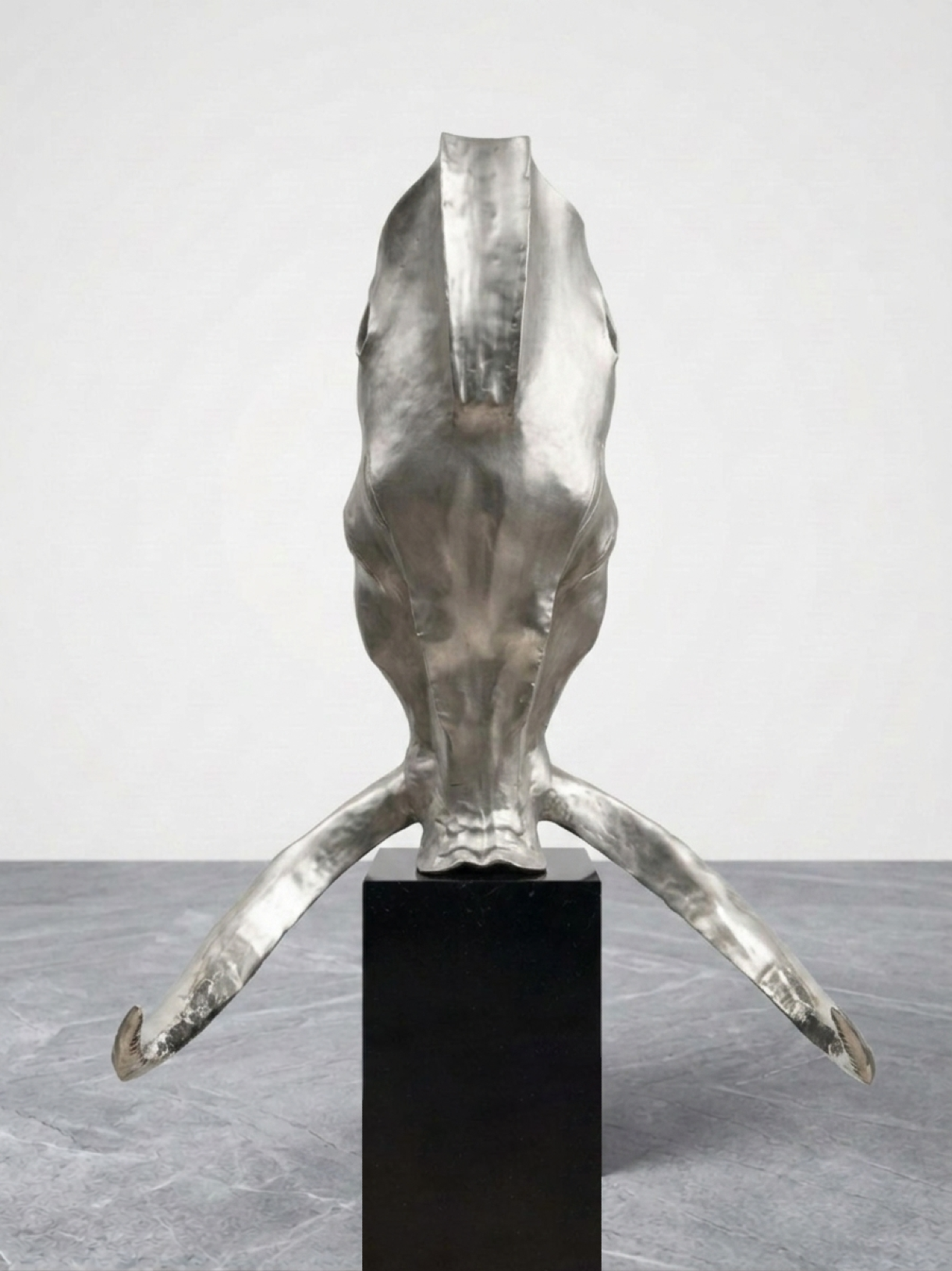 Boar (Zodiac)